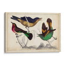 Trío Tropical II | Cuadro decorativo de Canvas Lab