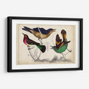 Trío Tropical II | Cuadro decorativo de Canvas Lab