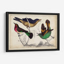 Trío Tropical II | Cuadro decorativo de Canvas Lab