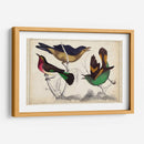 Trío Tropical II | Cuadro decorativo de Canvas Lab