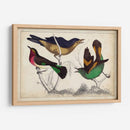 Trío Tropical II | Cuadro decorativo de Canvas Lab