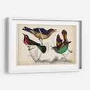 Trío Tropical II | Cuadro decorativo de Canvas Lab