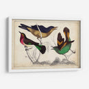 Trío Tropical II | Cuadro decorativo de Canvas Lab