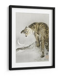 Tigre Rugiente - Ohara Koson | Cuadro decorativo de Canvas Lab