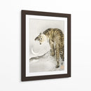 Tigre Rugiente - Ohara Koson | Cuadro decorativo de Canvas Lab