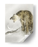 Tigre Rugiente - Ohara Koson | Cuadro decorativo de Canvas Lab