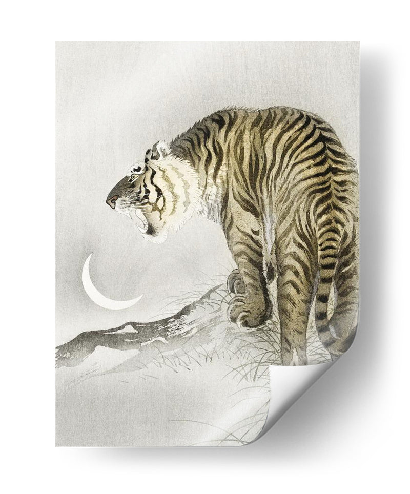 Tigre Rugiente - Ohara Koson | Cuadro decorativo de Canvas Lab