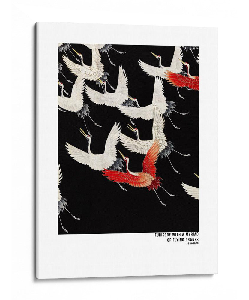 Furisode con una miríada de grullas voladoras - Vintage Japanese | Cuadro decorativo de Canvas Lab