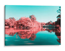 Reflejo sakura | Cuadro decorativo de Canvas Lab