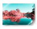 Reflejo sakura | Cuadro decorativo de Canvas Lab