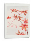 Rama de arce Momiji con hojas y semillas durante 1870-1880 - Megata Morikaga | Cuadro decorativo de Canvas Lab