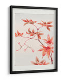 Rama de arce Momiji con hojas y semillas durante 1870-1880 - Megata Morikaga | Cuadro decorativo de Canvas Lab