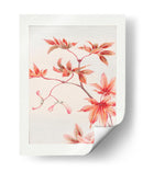 Rama de arce Momiji con hojas y semillas durante 1870-1880 - Megata Morikaga | Cuadro decorativo de Canvas Lab