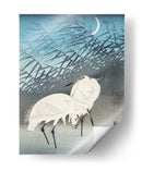 Garzas y Juncos a la Luz de la Luna (1926) - Ohara Koson | Cuadro decorativo de Canvas Lab