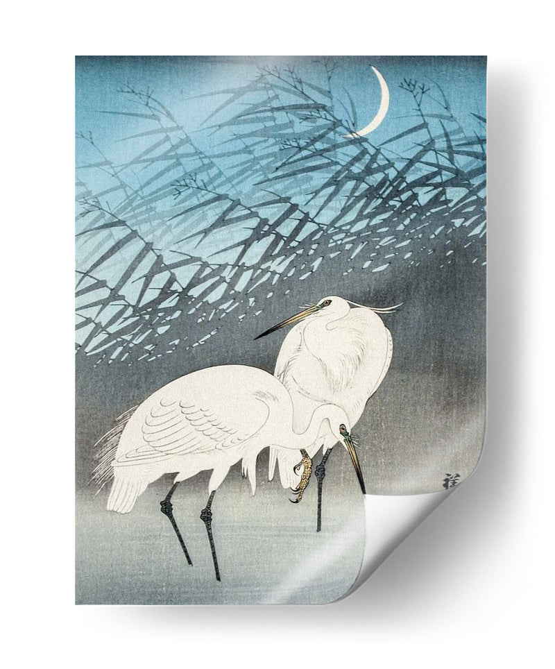 Garzas y Juncos a la Luz de la Luna (1926) - Ohara Koson | Cuadro decorativo de Canvas Lab