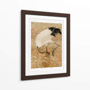 Grulla Sarus en Campo de Arroz - G.a. Audsley | Cuadro decorativo de Canvas Lab