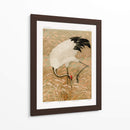 Grulla Sarus en Campo de Arroz - G.a. Audsley | Cuadro decorativo de Canvas Lab