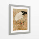 Grulla Sarus en Campo de Arroz - G.a. Audsley | Cuadro decorativo de Canvas Lab