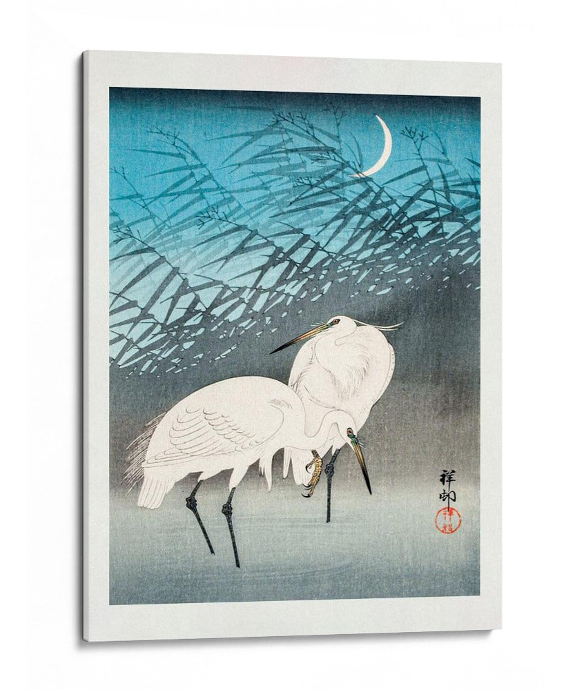 Garcetas y Juncos a la Luz de la Luna (1926) - Ohara Koson | Cuadro decorativo de Canvas Lab