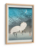 Garcetas y Juncos a la Luz de la Luna (1926) - Ohara Koson | Cuadro decorativo de Canvas Lab
