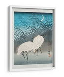 Garcetas y Juncos a la Luz de la Luna (1926) - Ohara Koson | Cuadro decorativo de Canvas Lab
