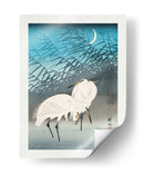 Garcetas y Juncos a la Luz de la Luna (1926) - Ohara Koson | Cuadro decorativo de Canvas Lab