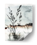 Juncos de Mañana Neblinosa - Treechild | Cuadro decorativo de Canvas Lab