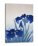 Flores de Iris - Ohara Koson | Cuadro decorativo de Canvas Lab