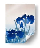 Flores de Iris I - Ohara Koson | Cuadro decorativo de Canvas Lab