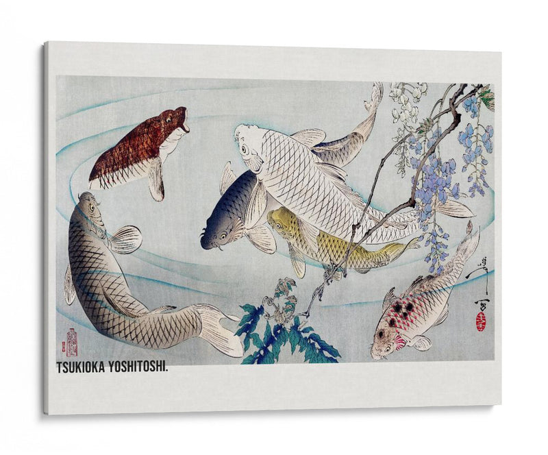 Seis Carpas Nadando Bajo Glicinas (1889) - Tsukioka Yoshitoshi | Cuadro decorativo de Canvas Lab