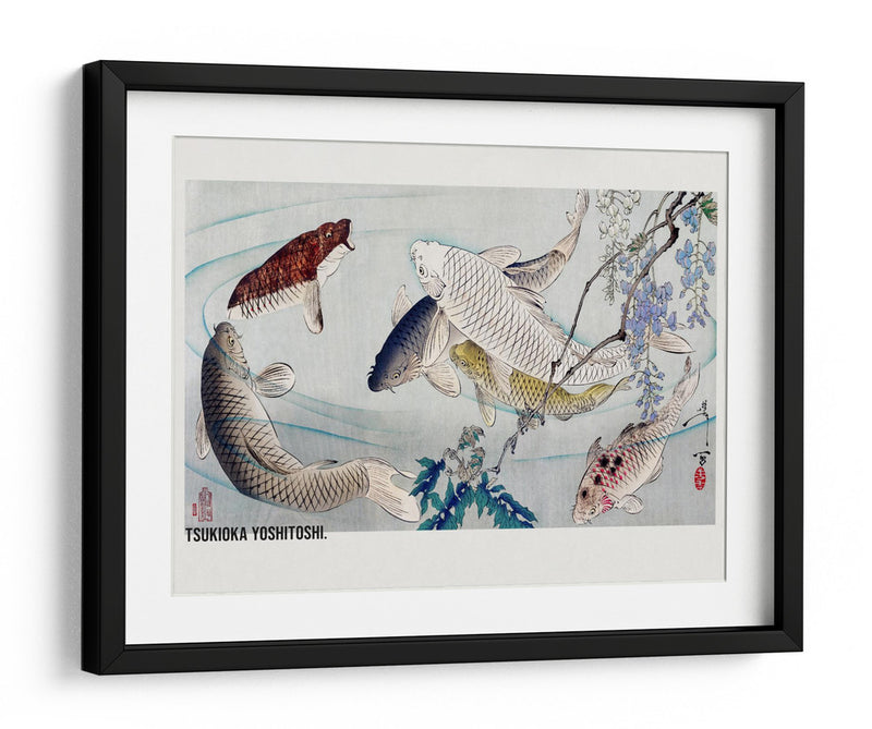 Seis Carpas Nadando Bajo Glicinas (1889) - Tsukioka Yoshitoshi | Cuadro decorativo de Canvas Lab