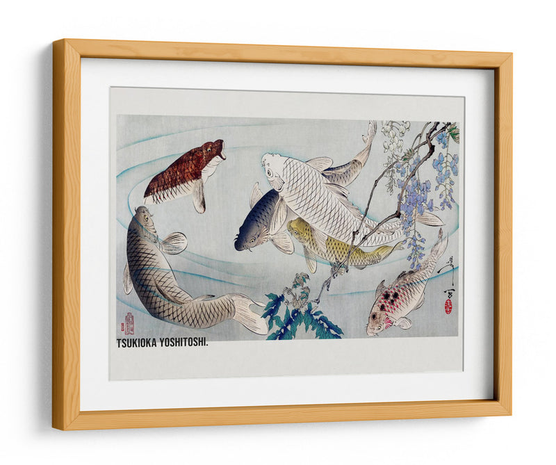Seis Carpas Nadando Bajo Glicinas (1889) - Tsukioka Yoshitoshi | Cuadro decorativo de Canvas Lab