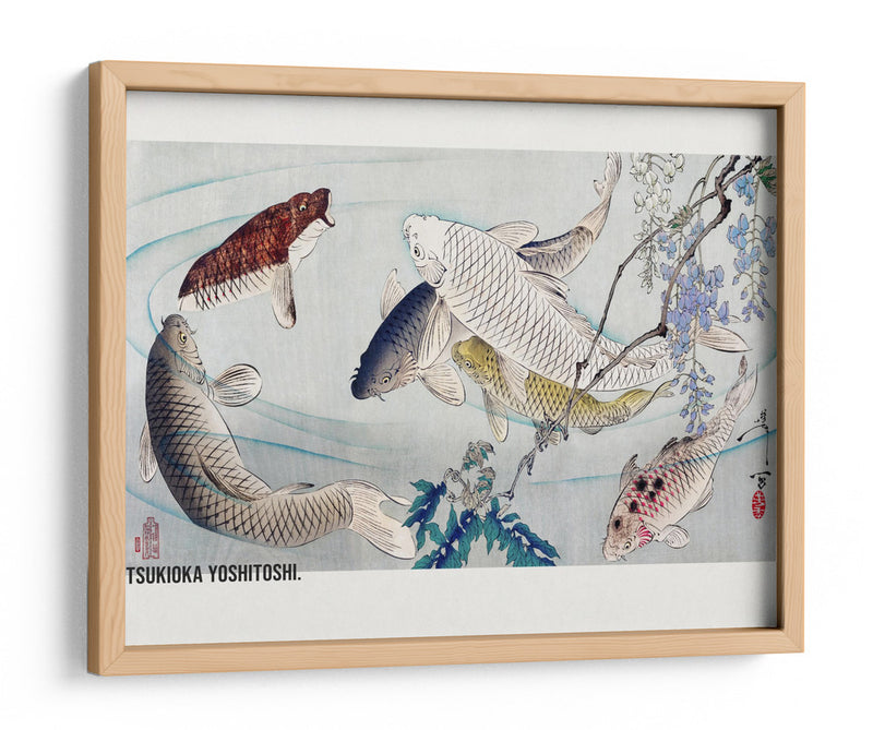 Seis Carpas Nadando Bajo Glicinas (1889) - Tsukioka Yoshitoshi | Cuadro decorativo de Canvas Lab