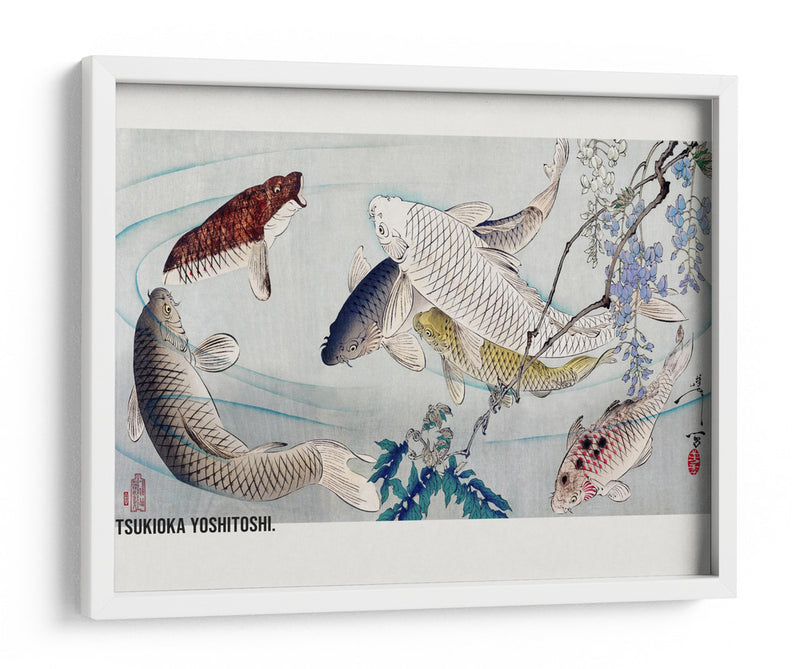 Seis Carpas Nadando Bajo Glicinas (1889) - Tsukioka Yoshitoshi | Cuadro decorativo de Canvas Lab