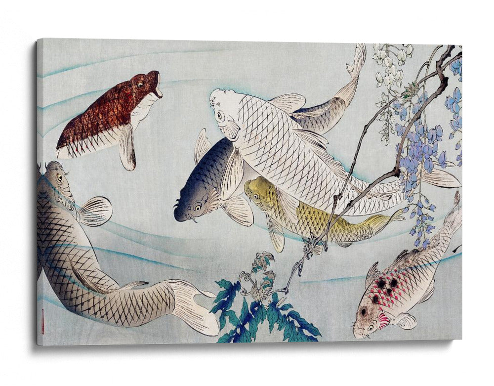 Seis carpas nadando bajo la glicina (1889) - Tsukioka Yoshitoshi | Cuadro decorativo de Canvas Lab
