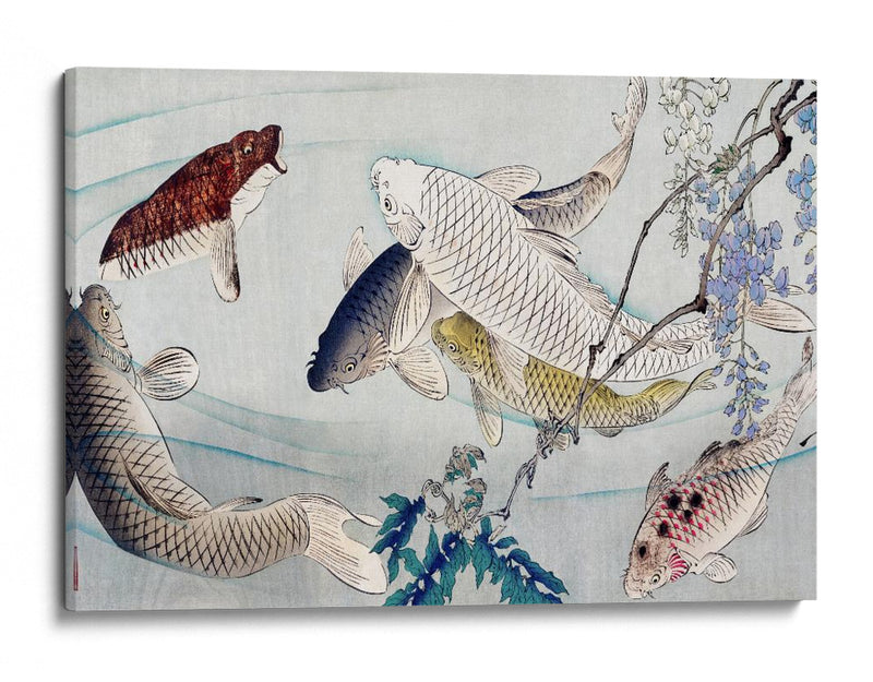 Seis carpas nadando bajo la glicina (1889) - Tsukioka Yoshitoshi | Cuadro decorativo de Canvas Lab