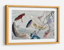 Seis carpas nadando bajo la glicina (1889) - Tsukioka Yoshitoshi | Cuadro decorativo de Canvas Lab