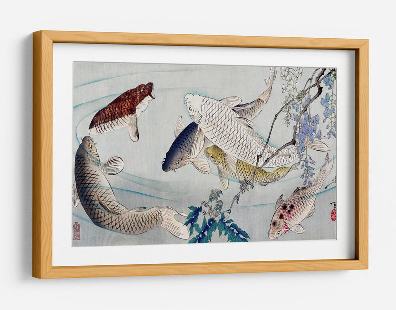 Seis carpas nadando bajo la glicina (1889) - Tsukioka Yoshitoshi | Cuadro decorativo de Canvas Lab