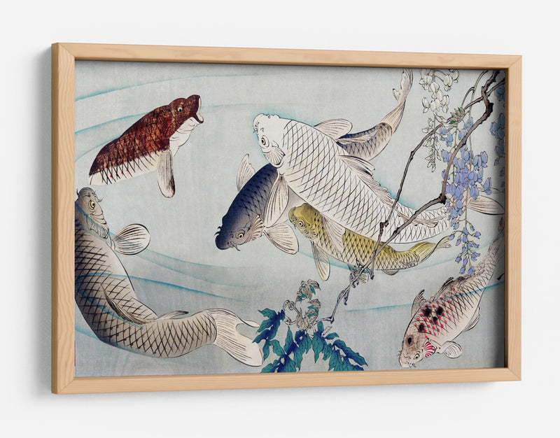 Seis carpas nadando bajo la glicina (1889) - Tsukioka Yoshitoshi | Cuadro decorativo de Canvas Lab