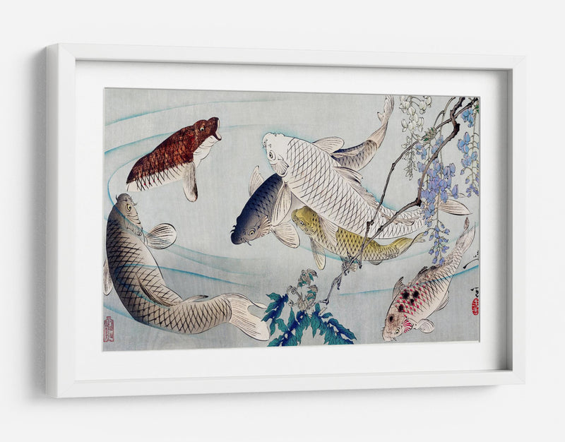 Seis carpas nadando bajo la glicina (1889) - Tsukioka Yoshitoshi | Cuadro decorativo de Canvas Lab