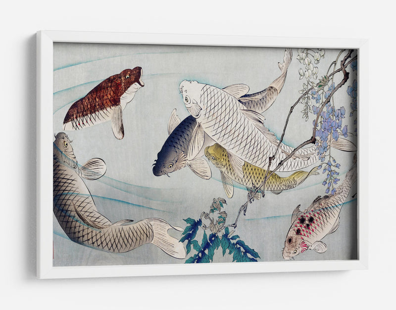 Seis carpas nadando bajo la glicina (1889) - Tsukioka Yoshitoshi | Cuadro decorativo de Canvas Lab