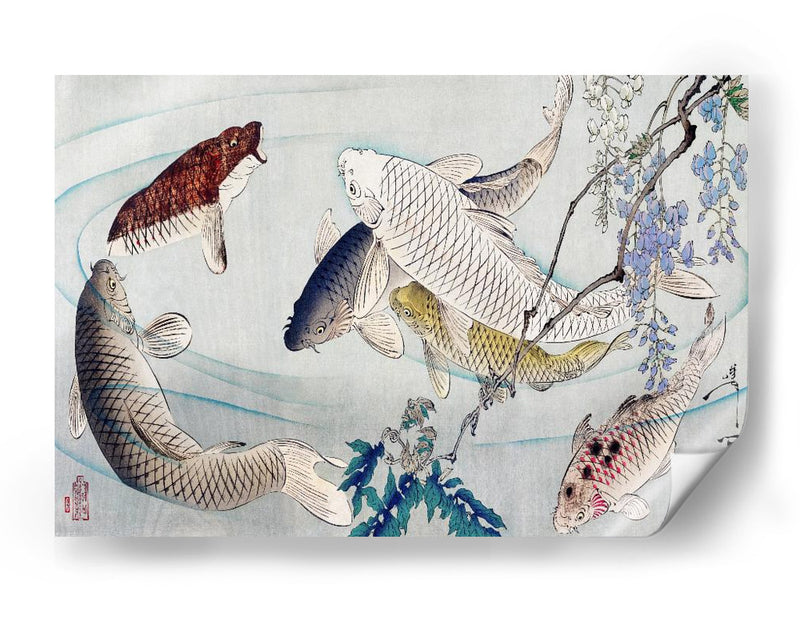Seis carpas nadando bajo la glicina (1889) - Tsukioka Yoshitoshi | Cuadro decorativo de Canvas Lab