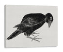 Pájaro, del Álbum de Bocetos (1814) Grabados Japoneses Antiguos - KATSUSHIKA HOKUSAI | Cuadro decorativo de Canvas Lab