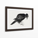 Pájaro, del Álbum de Bocetos (1814) Grabados Japoneses Antiguos - Katsushika Hokusai | Cuadro decorativo de Canvas Lab
