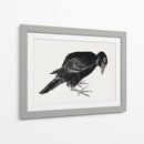 Pájaro, del Álbum de Bocetos (1814) Grabados Japoneses Antiguos - Katsushika Hokusai | Cuadro decorativo de Canvas Lab