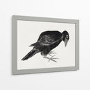 Pájaro, del Álbum de Bocetos (1814) Grabados Japoneses Antiguos - Katsushika Hokusai | Cuadro decorativo de Canvas Lab