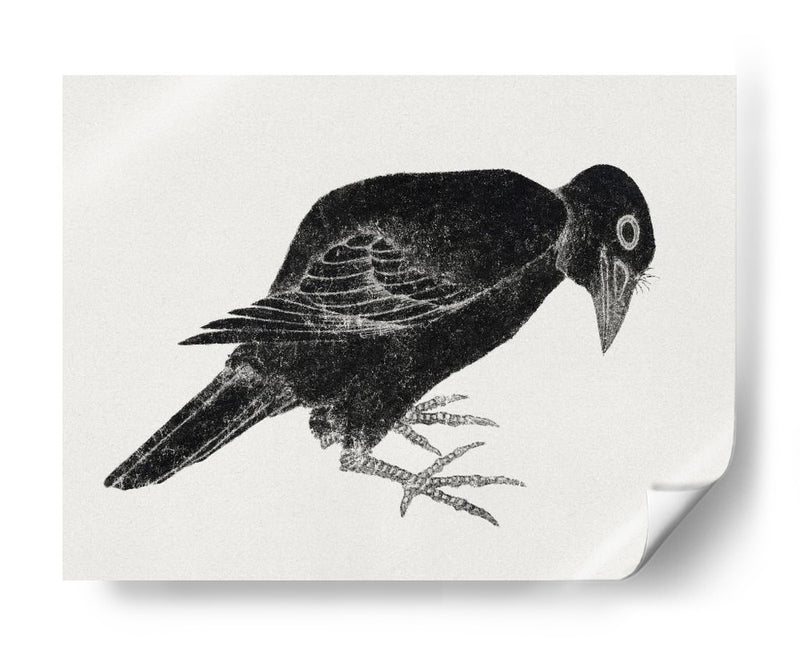 Pájaro, del Álbum de Bocetos (1814) Grabados Japoneses Antiguos - KATSUSHIKA HOKUSAI | Cuadro decorativo de Canvas Lab