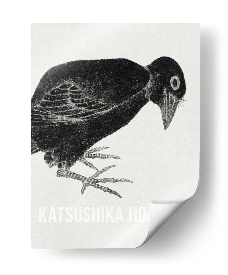 El pájaro de Katsushika Hokusai 1814 - KATSUSHIKA HOKUSAI | Cuadro decorativo de Canvas Lab