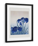 Flores de Lirio - Ohara Koson | Cuadro decorativo de Canvas Lab