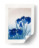 Flores de Lirio II - Ohara Koson | Cuadro decorativo de Canvas Lab
